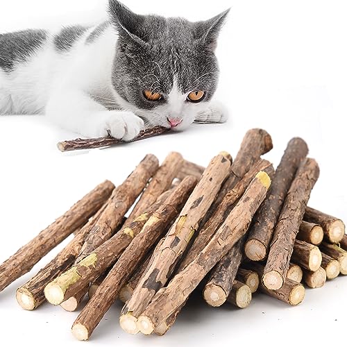 Onebarleycorn Katzenminze Sticks für Katzen, Matatabi Stick Katze Sticks Spielzeug Matabi katzensticks Katzenspielzeug für Zahnpflege,30 Stück von onebarleycorn