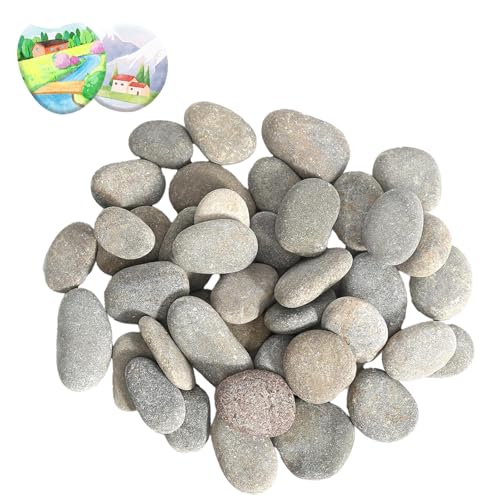 50 Stücke Kieselsteine Zum Bemalen, 1-3 CM Kieselsteine Groß Flusskiesel Steine Bemalen Kleine Steine zum Basteln Kies Dekosteine Naturstein Diy Aquarium für Zen Garten Blumentöpfen und Aquarien 50 Stücke Kieselsteine Zum Bemalen, 1-3 CM Kieselsteine Groß Flusskiesel Steine Bemalen Kleine Steine zum Basteln Kies Dekosteine Naturstein Diy Aquarium für Zen Garten Blumentöpfen und Aquarien von oooaooo
