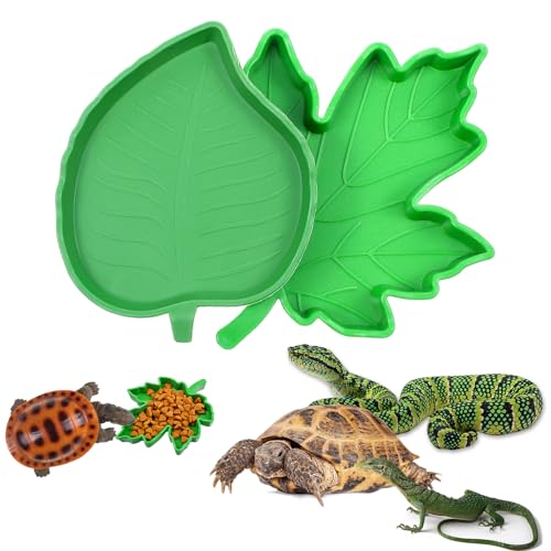 oruola 2 Stück Blatt Futternapf Reptilien,Reptilien Wasserschale,Terrarium Napf,Näpfe für Reptiliens & Amphibien,Wasserschale Terrarium,Igel Schale für Schlange,Schildkröte,Gecko,Landschildkröte oruola 2 Stück Blatt Futternapf Reptilien,Reptilien Wasserschale,Terrarium Napf,Näpfe für Reptiliens & Amphibien,Wasserschale Terrarium,Igel Schale für Schlange,Schildkröte,Gecko,Landschildkröte von oruola