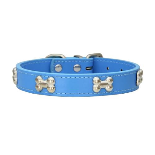 osiuujkw Bequemes und einfach zu tragendes Hundehalsband in Knochenform. Mehrere Größen erhältlich. Hundehalsband in Knochenform. PU Halsband für Hunde, Blau, S osiuujkw Bequemes und einfach zu tragendes Hundehalsband in Knochenform. Mehrere Größen erhältlich. Hundehalsband in Knochenform. PU Halsband für Hunde, Blau, S von osiuujkw