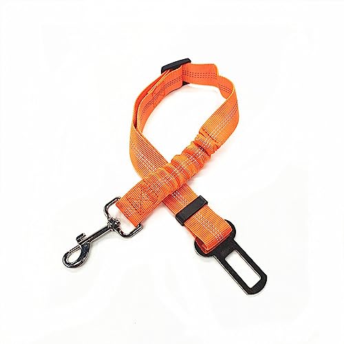 osiuujkw Hundeleine, Sicherheitsgurt, Sicherheitsgurt, reflektierende Schnur, doppelseitige Verarbeitung, dehnbar, für den Außenbereich, verstellbar, Heimtierbedarf, Orange osiuujkw Hundeleine, Sicherheitsgurt, Sicherheitsgurt, reflektierende Schnur, doppelseitige Verarbeitung, dehnbar, für den Außenbereich, verstellbar, Heimtierbedarf, Orange von osiuujkw