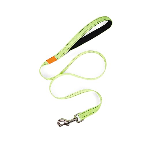 osiuujkw Hundeleine Starke Nylonleine mit gepolstertem Griff Komfortables Geschirrseil für Hunde Pet Flinker Zug Outdoor Yard, Hellgelb osiuujkw Hundeleine Starke Nylonleine mit gepolstertem Griff Komfortables Geschirrseil für Hunde Pet Flinker Zug Outdoor Yard, Hellgelb von osiuujkw