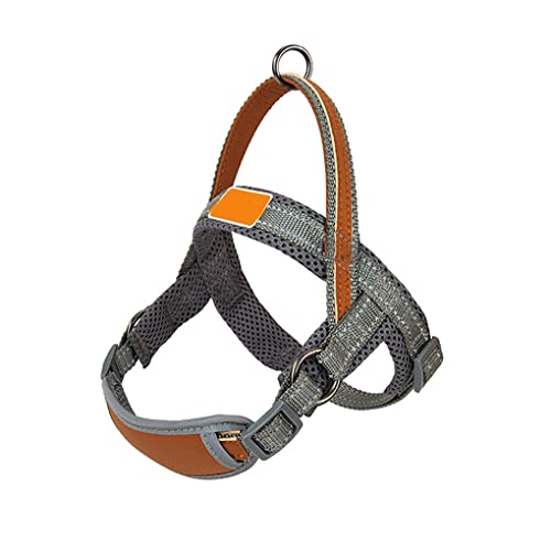 osiuujkw Pet Vest Harness Dog Brustgurt mit Griff Atmungsaktive Nylon Klammer Sling Leash Quick Fit Trainingszubehör, Grau, L von osiuujkw