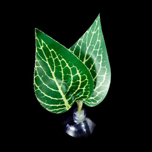 our fave Bettas Fischhängematte Pflanzensaugnapf Laubbett für Unterwasserfische Blätter Ruheunterlage Laichboden für Aquarien von our fave