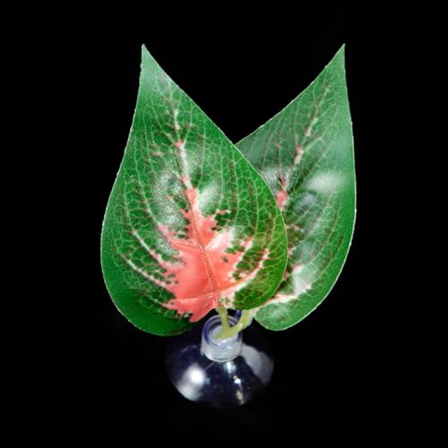 our fave Bettas Fischhängematte Pflanzensaugnapf Laubbett für Unterwasserfische Blätter Ruheunterlage Laichboden für Aquarien our fave Bettas Fischhängematte Pflanzensaugnapf Laubbett für Unterwasserfische Blätter Ruheunterlage Laichboden für Aquarien von our fave