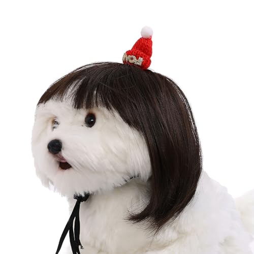 our fave Haustier-Perücke, Hut für Weihnachten, Party, Requisiten, kleine Hunde und Katzen, Perücken für Festivals, Versammlungen, Haustier-Fotoshooting-Requisiten von our fave
