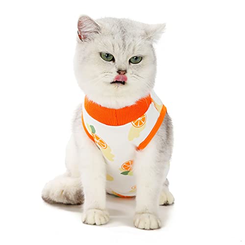 Cat Recovery-Anzug schützen Wunden warme Baumwollkätzchen Kleidung Operation nach atmemierbar (XL) von outdoorm