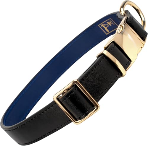 pm® Hundehalsband aus Leder mit Klickverschluss, Schnellverschluss, für Große und Mittelgroße Hunde, Verstellbar (Schwarz, M/L) von pm