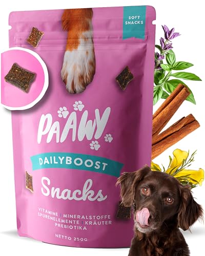 Paawy DailyBoost Snacks - Vitamin-B Komplex für Hunde - 29 Vitamine, Mineralien & Kräuter - Multivitamin für Hunde - Vitamin B1, B2, B3, B5, B6, B7, B9, B12 - Mit Prebiotika, Glucosamin & Chondroitin von Paawy