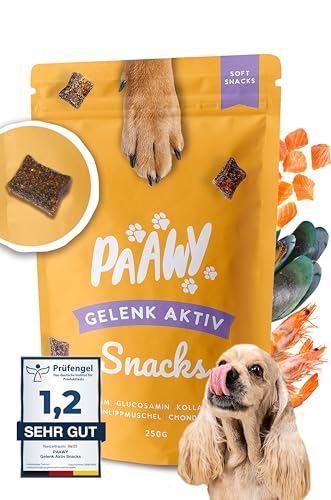 paawy Gelenktabletten Hund I Grünlippmuschel Hund I Snacks mit MSM, Glucosamin & Chondroitin I Arthrose Hund I Unterstützt die Gelenke & Knochen I Gelenk-Aktiv 250g von paawy