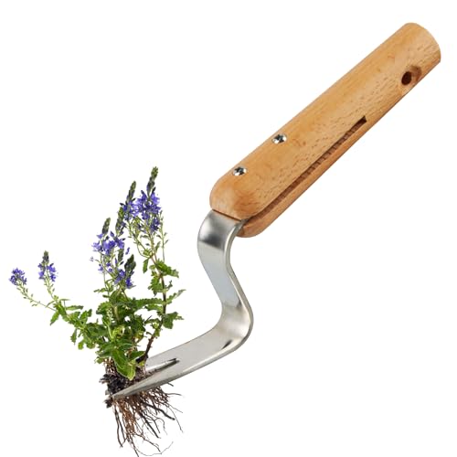 panemy Unkrautstecher, Unkraut Entferner Gerät Gartengeräte, Wurzeljäter mit Holzgriff mit Maß, Unkrautjäter Weeder, Unkrautausstecher Edelstahl zum Graben, Jäten, Lösen, Plantage-Geschenk für Gärtner panemy Unkrautstecher, Unkraut Entferner Gerät Gartengeräte, Wurzeljäter mit Holzgriff mit Maß, Unkrautjäter Weeder, Unkrautausstecher Edelstahl zum Graben, Jäten, Lösen, Plantage-Geschenk für Gärtner von panemy