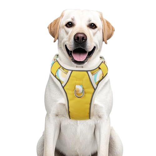 pangdi Hundegeschirr, gegen Ziehen, mit Griff, reflektierend, gepolstert, verstellbare Weste für kleine, mittelgroße und große Hunde, Wandern, Training, Walking, Gelb, M pangdi Hundegeschirr, gegen Ziehen, mit Griff, reflektierend, gepolstert, verstellbare Weste für kleine, mittelgroße und große Hunde, Wandern, Training, Walking, Gelb, M von pangdi