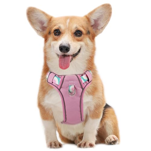 pangdi Hundegeschirr, gegen Ziehen, mit Griff, reflektierend, gepolstert, verstellbare Weste für kleine, mittelgroße und große Hunde, Wandern, Training, Walking, Rosa, S pangdi Hundegeschirr, gegen Ziehen, mit Griff, reflektierend, gepolstert, verstellbare Weste für kleine, mittelgroße und große Hunde, Wandern, Training, Walking, Rosa, S von pangdi
