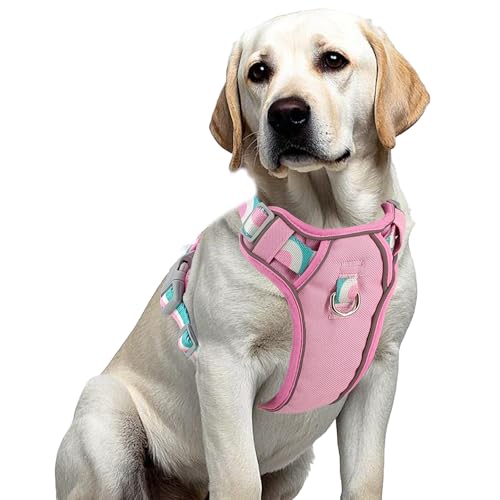 pangdi Hundegeschirr, kein Ziehen, einfaches Gehen mit Griff, emotionale Unterstützung, Service, Hundeweste für kleine, mittelgroße und große Hunde, Rosa, Größe M pangdi Hundegeschirr, kein Ziehen, einfaches Gehen mit Griff, emotionale Unterstützung, Service, Hundeweste für kleine, mittelgroße und große Hunde, Rosa, Größe M von pangdi