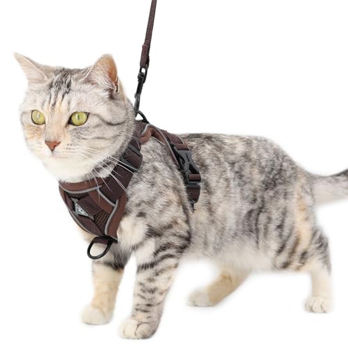 pangdi Katzengeschirr und Leine, ausbruchsicher, taktisches Geschirr für kleine Kätzchen, emotionale Unterstützung, Katzenweste, Braun, Größe S von pangdi
