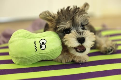 Plüschspielzeug mit Katzenkraut für Hunde Katzen, interaktive Haustierspielzeuge gefüllte Auswahl Plüschtiere, Haustierhunde Katzen Kau- und Kauhilfspeilzeuge zum Zähneknirschen, 2er Pack von papahug