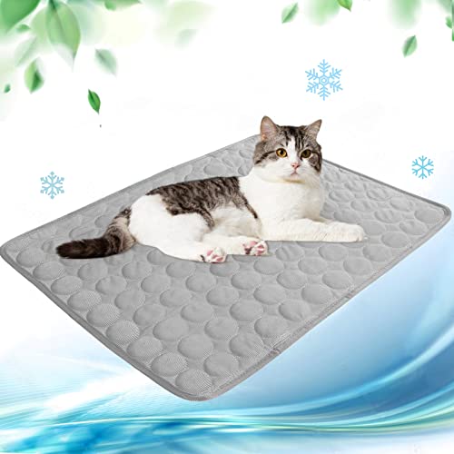 Kühlmatte für Hunde Pet Dog Cooling Mat Selbst Kühlende Hundematte Hunde Kühl Hundedecke Hundematte Sommer wasserdichte rutschfeste hundematte für Zuhause Unterwegs oder im Auto(grau,40x30cm) von papasgix