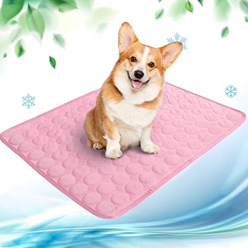 Kühlmatte für Hunde Pet Dog Cooling Mat Selbst Kühlende Hundematte Hunde Kühl Hundedecke Hundematte Sommer wasserdichte rutschfeste hundematte für Zuhause Unterwegs oder im Auto(rosa,70x55cm) von papasgix