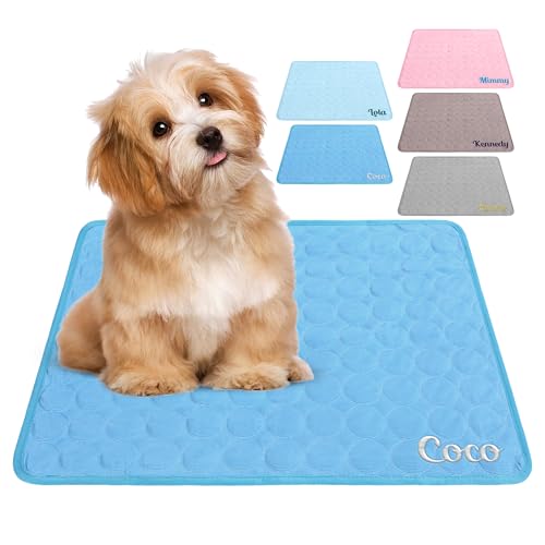 papasgix Personalisierte Kühlmatte aus Eisseide für Hunde, wiederverwendbares, waschbares Kühlkissen für Katzen und Welpen, individuell gestaltbares Kissen mit Namen für Bett, Sofa und Auto papasgix Personalisierte Kühlmatte aus Eisseide für Hunde, wiederverwendbares, waschbares Kühlkissen für Katzen und Welpen, individuell gestaltbares Kissen mit Namen für Bett, Sofa und Auto von papasgix