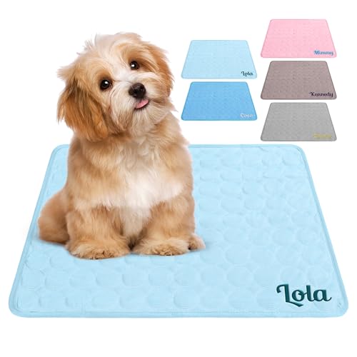 papasgix Personalisierte Kühlmatte aus Eisseide für Hunde, wiederverwendbares, waschbares Kühlkissen für Katzen und Welpen, individuell gestaltbares Kissen mit Namen für Bett, Sofa und Auto papasgix Personalisierte Kühlmatte aus Eisseide für Hunde, wiederverwendbares, waschbares Kühlkissen für Katzen und Welpen, individuell gestaltbares Kissen mit Namen für Bett, Sofa und Auto von papasgix