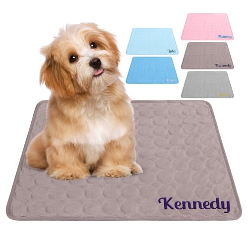 papasgix Personalisierte Kühlmatte aus Eisseide für Hunde, wiederverwendbares, waschbares Kühlkissen für Katzen und Welpen, individuell gestaltbares Kissen mit Namen für Bett, Sofa und Auto papasgix Personalisierte Kühlmatte aus Eisseide für Hunde, wiederverwendbares, waschbares Kühlkissen für Katzen und Welpen, individuell gestaltbares Kissen mit Namen für Bett, Sofa und Auto von papasgix