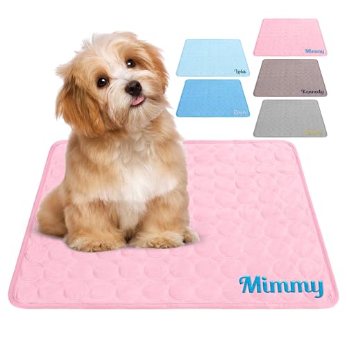 papasgix Personalisierte Kühlmatte aus Eisseide für Hunde, wiederverwendbares, waschbares Kühlkissen für Katzen und Welpen, individuell gestaltbares Kissen mit Namen für Bett, Sofa und Auto papasgix Personalisierte Kühlmatte aus Eisseide für Hunde, wiederverwendbares, waschbares Kühlkissen für Katzen und Welpen, individuell gestaltbares Kissen mit Namen für Bett, Sofa und Auto von papasgix