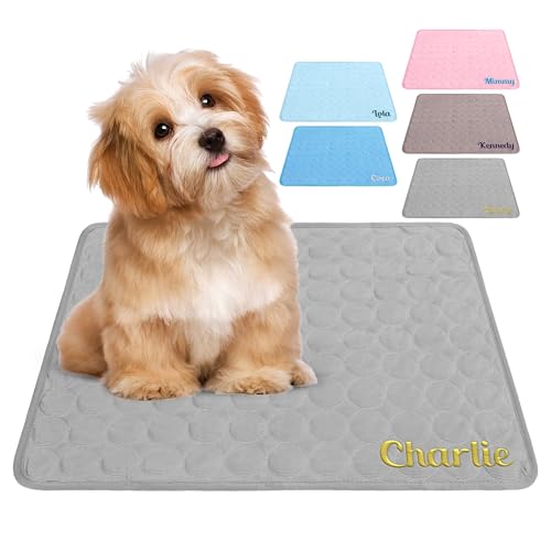 papasgix Personalisierte Kühlmatte aus Eisseide für Hunde, wiederverwendbares, waschbares Kühlkissen für Katzen und Welpen, individuell gestaltbares Kissen mit Namen für Bett, Sofa und Auto papasgix Personalisierte Kühlmatte aus Eisseide für Hunde, wiederverwendbares, waschbares Kühlkissen für Katzen und Welpen, individuell gestaltbares Kissen mit Namen für Bett, Sofa und Auto von papasgix