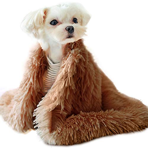papasgix Plüsch Flauschige Decken für Hunde Doppeilseitige Super Softe Warme und Weiche Decke Haustier Hundedecke Katzendecke Liegedecke Tier Schlafdeck Überwurf für Hundebett Sofa und Couch von papasgix