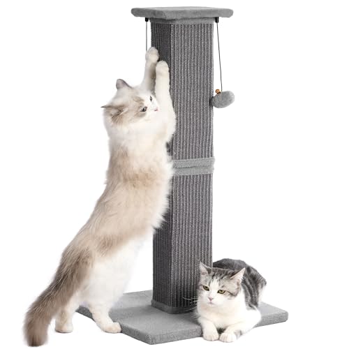 Pawfessor Kratzbaum für Katzen, vertikal, Sisal, mit robuster Basis, für Indoor-Katzen, große Erwachsene, Grau von pawfessor