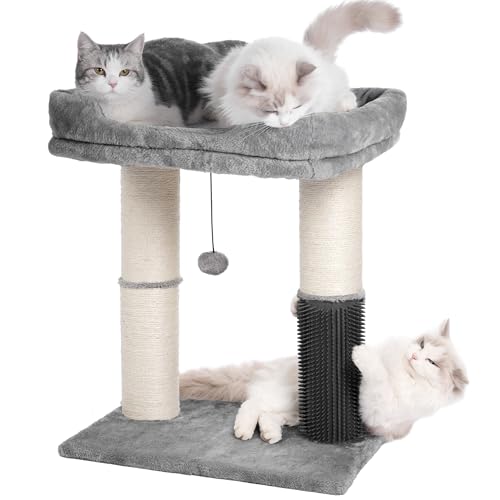 Pawfessor Kratzbaum für große Katzen, Kratzbaum mit 50,8 x 40,7 cm großem Bett, Selbstpflege, dicker Kratzbaum [Durchmesser = 11,4 cm] und baumelnder Ball, ideal für große Indoor-Katzen, groß, Grau von pawfessor