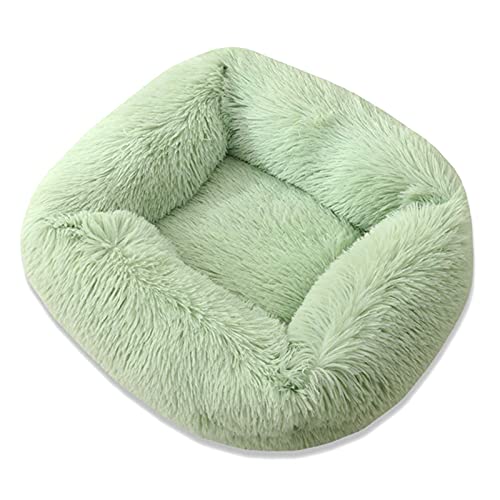 pawstrip Hundebett, weiches langes Plüsch-Katzenbett, waschbar, flauschig, warmes Haustierkissen für Katzen, Welpen, kleine, mittelgroße Hunde, beruhigende Haustierbetten, verbesserter Schlaf (M, Grün pawstrip Hundebett, weiches langes Plüsch-Katzenbett, waschbar, flauschig, warmes Haustierkissen für Katzen, Welpen, kleine, mittelgroße Hunde, beruhigende Haustierbetten, verbesserter Schlaf (M, Grün von pawstrip