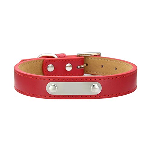 pawstrip Hundehalsband, Leder, personalisierbar, mit Namensschild, verstellbar, strapazierfähig, für Welpen, kleine, mittelgroße und große Hunde, Katzen (rot) von pawstrip