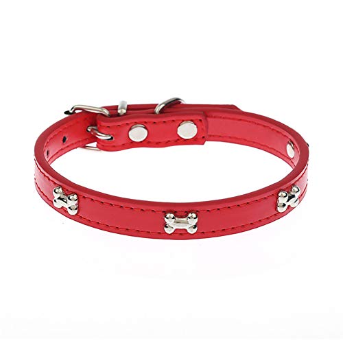 pawstrip Hundehalsband aus Leder, für kleine und mittelgroße Hunde und Katzen, niedliches verstellbares Hundehalsband, strapazierfähige Metallschnalle und D-Ring von pawstrip