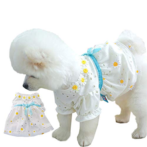 pawstrip Hundekleid für den Sommer, atmungsaktiv, cool, niedlich, modisch, niedlich, Tutu, Kleidung, weiß, Haustier-Outfits für kleine und mittelgroße Hunde und Katzen von pawstrip