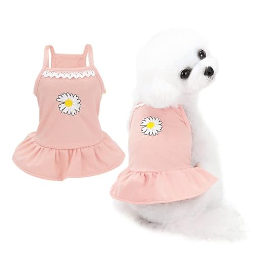 pawstrip Süßes Welpenkleid für den Sommer, atmungsaktiv, weiche Baumwolle, Prinzessinnenkleider für Katzen, Kätzchen, schöne Haustierbekleidung für kleine und mittelgroße Hunde, gemütlich, ärmellos pawstrip Süßes Welpenkleid für den Sommer, atmungsaktiv, weiche Baumwolle, Prinzessinnenkleider für Katzen, Kätzchen, schöne Haustierbekleidung für kleine und mittelgroße Hunde, gemütlich, ärmellos von pawstrip