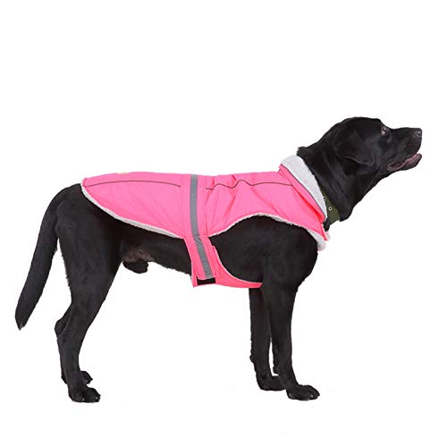 pawstrip Winter Warm Hundemantel Wasserdicht Winddicht Reflektierend Hundejacke für Kaltes Wetter Verstellbar Draussen Haustier Kleidung für Kleine Mittlere Große Hunde (Pink) von pawstrip