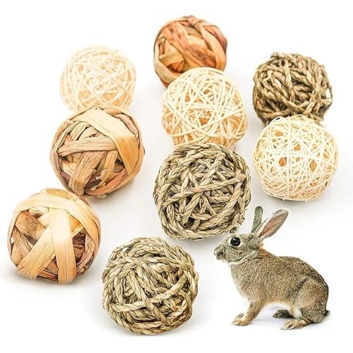 pclapora 10 Stück Kleintiere Kauspielzeug, 5 Typ Kaubälle, Kaninchen Spielzeug, Kaubälle für Die Zahnpflegefür Nager Zubehör Meerschweinchen Hase Chinchilla Hamster Rennmäuse von pclapora