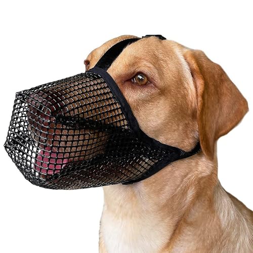 pclapora Maulkorb für Hunde, Maulkorb Mittlere Hunde, Trinkbarer Haustier Maulkorb aus Air Mesh, Fressschutz Hund, Atmungsaktive Haustier für Kleine Mittlere Große Hund (Größe 2) von pclapora