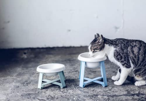 Keramik-Katzennapf, kleiner Hund, erhöhter Katzenfutternapf zum Schutz der Wirbelsäule, leicht zu reinigen, ästhetisch, hochwertig und modern, Pecolo von pecolo