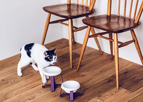 Keramik-Katzennapf, kleiner Hund, erhöhter Katzenfutternapf zum Schutz der Wirbelsäule, leicht zu reinigen, ästhetisch, hochwertig und modern, Pecolo von pecolo