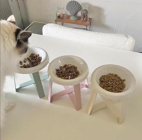 pecolo, Keramik-Katzennapf, kleiner Hundenapf, erhöhter Katzenfutternapf zum Schutz der Wirbelsäule, leicht zu reinigen, ästhetisch, hochwertig und modern von pecolo