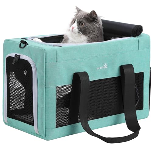 pecute Katzentasche Transporttasche Stabiler Halt Haustier Tragetasche, Transportbox Katze Leicht, Faltbar Katzen Tasche für Katzen und kleine Hunde, ideal für Reisen, bis 6 kg, Aquagrün von pecute