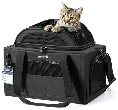 pecute Katzentasche Flugzeug Transporttasche Stabiler Halt Haustier Tragetasche, Transportbox Katze Leicht, Faltbar Katzen Tasche für Katzen und kleine Hunde, ideal für Reisen, Grau pecute Katzentasche Flugzeug Transporttasche Stabiler Halt Haustier Tragetasche, Transportbox Katze Leicht, Faltbar Katzen Tasche für Katzen und kleine Hunde, ideal für Reisen, Grau von pecute