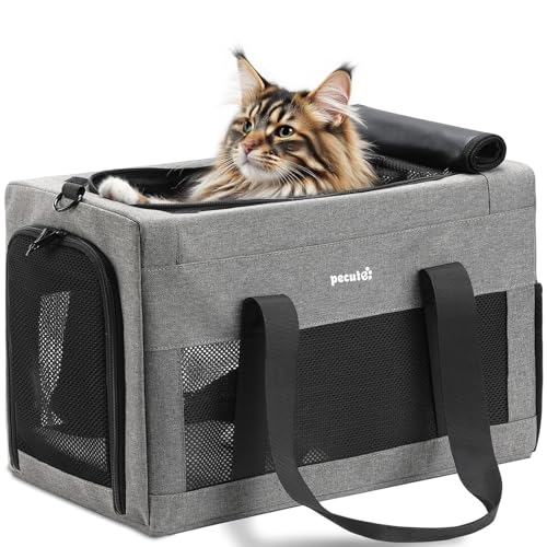 pecute Katzentasche Transporttasche Stabiler Halt Haustier Tragetasche, Transportbox Katze Leicht, Faltbar Katzen Tasche für Katzen und kleine Hunde, ideal für Reisen, bis 6 kg, Hellgrau XL pecute Katzentasche Transporttasche Stabiler Halt Haustier Tragetasche, Transportbox Katze Leicht, Faltbar Katzen Tasche für Katzen und kleine Hunde, ideal für Reisen, bis 6 kg, Hellgrau XL von pecute