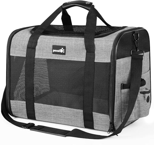pecute Katzentransportbox ＜6kg, Atmungsaktive Hundetasche Transportbox, Katzen Transportboxen Mit Verstellbarem Schultergurt,Katzentransporttasche Für Reisen Hundetragetasche Für Katzen Welpen von pecute