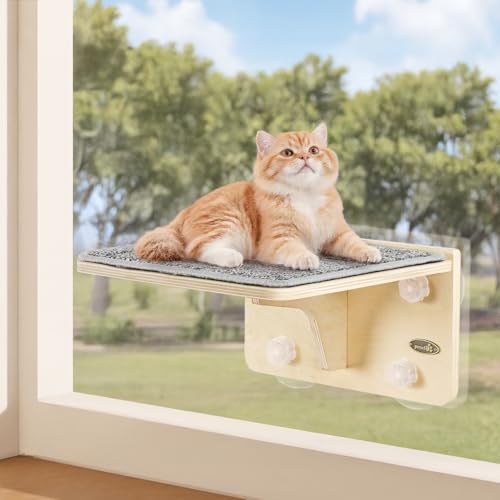 pecute Kletterwand Katzen, 2-in-1 für Wand & Glas, Katzenkletterwand mit Waschbar Abnehmbar Filzunterlage, Katzenliege Fenster Fensterplätze mit Große Saugnäpfe für Katzen, Kätzchen (S) von pecute