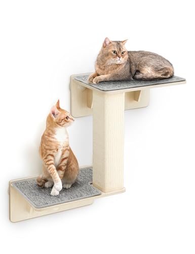 pecute Kletterwand Katzen, Stabiler Katzenwand Katzenleiter für Katzen, Katzenliege, Wandkratzbaum Katzen Kletterwand Katzenleiter Katzenmöbel (Doppelschicht + Kratzbaum) von pecute