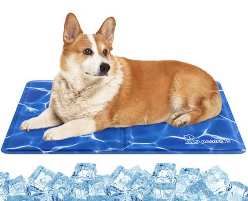 pecute Kühlmatte Hunde Katzen, Kuhlmatte für Hund und Katze mit Ungiftiges Gel,Selbstkühlende Kissen, Kühl Hundedecke, Kaltgelpad für Katzen und Hunde (65 * 50cm) von pecute
