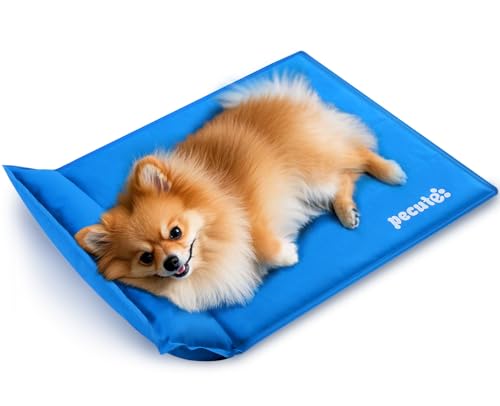 pecute Kühlmatte mit Kissen Hunde Katzen (65 * 50cm), Kuhlmatte für Hund und Katze mit Ungiftiges Gel,Selbstkühlende Kissen, Kühl Hundedecke, Kaltgelpad für Katzen und Hunde von pecute
