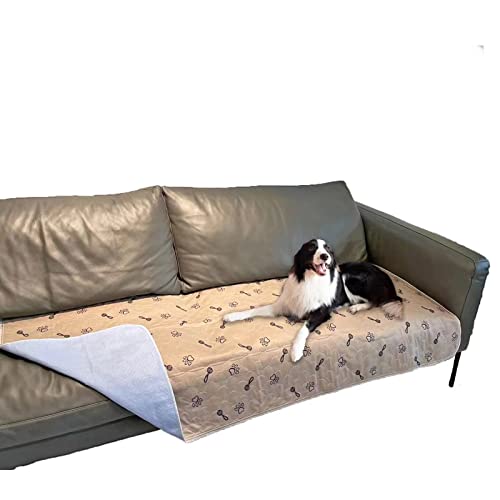 peepeego Extra große Hundeunterlage, waschbar und kostenloser Hundekamm, wiederverwendbare Welpenunterlage mit schnell saugfähigem, wasserfestem, hochwertigem, rutschfestem Haustierteppich für peepeego Extra große Hundeunterlage, waschbar und kostenloser Hundekamm, wiederverwendbare Welpenunterlage mit schnell saugfähigem, wasserfestem, hochwertigem, rutschfestem Haustierteppich für von peepeego